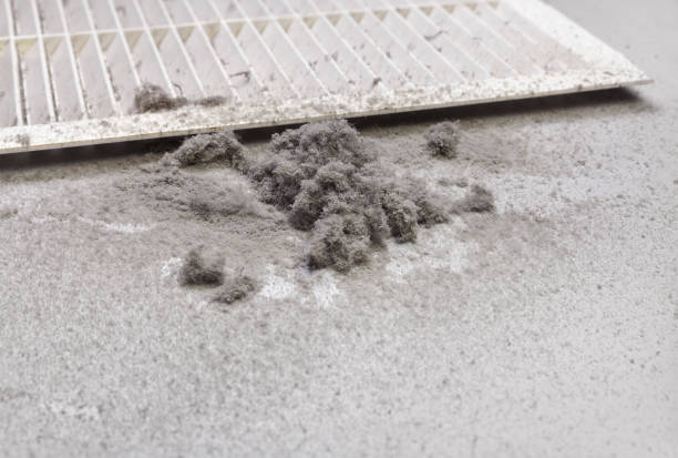 Best Ventilation Cleaning Services  in Hammond, WI